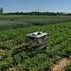 Autonome mobile Roboter wie der CURTdiff des Fraunhofer IPA werden in der Landwirtschaft der Zukunft eine wichtige Rolle spielen. CURTdiff kann Pflanzreihen autonom erkennen und abfahren und so etwa für die Beikrautregulierung eingesetzt werden.