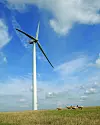 Windenergie_Aufmacher
