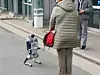 Begegnung vor der Halle: der Roboterhund macht brav
