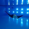 künstlicher Mantarochen-Roboter unter Wasser in einem Pool