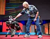 Marc Raibert 2017 mit dem Spot Mini, der kleineren Version des Roboterhundes von Boston Dynamics