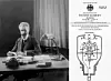 9. November 1924: Der Sicherungsautomat mit thermisch-magnetischer Auslösung wird als Patent eingetragen. Von Hugo Stotz (Foto) und seinem Ingenieur Heinrich Schachtner entwickelt, kam der innovative Leitungsschutzschalter genau zur richtigen Zeit auf den Markt: Immer mehr elektrische Geräte – vom Bügeleisen bis zum Kühlschrank – zogen in die Haushalte ein, was in der Folge jedoch nicht nur mehr Komfort, sondern auch neue Herausforderungen schuf. Denn die steigende Zahl elektrischer Verbraucher begünstigte das Auftreten von Überlastungen und Kurzschlüssen. Nicht selten waren Wohnungsbrände die Folge. Bis zur Einführung des ab 1928 serienmäßig produzierten Stotz-Automaten» kamen zum Schutz der Leitungen ausschließlich Schmelzsicherungen zum Einsatz. In der Praxis führte dieses Konstruktionsprinzip, bei dem im Inneren ein dünner Draht bei zu hoher Stromstärke zum Schmelzen gebracht wird, immer wieder zu Problemen. Denn war dabei der auslösende Fehler nämlich zuvor nicht behoben worden, konnte beim Eindrehen der Ersatzsicherung ein Lichtbogen entstehen. Stotz und Schachtner konstruierten stattdessen eine automatische, wiederverwendbare und nochmals sicherere Alternative. Dazu kombinierten sie zwei unterschiedliche Auslösesysteme: Fließen infolge eines Kurzschlusses hohe Ströme durch die integrierte Magnetspule, löst das erzeugte Magnetfeld einen Schalter aus, der den Stromkreislauf unterbricht. Zusätzlich integrierten die Ingenieure einen temperatursensitiven Schalter aus Bimetall, der immer dann aktiv wird, wenn etwa eine zu große Anzahl an Verbrauchsgeräten die Leitung überlastet und in gefährlicher Weise erhitzt. Um den Strom wieder fließen zu lassen, genügte es jeweils, den Schutzschalter nach Behebung des Fehlers per Knopfdruck zu reaktivieren.