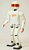 Der igus-Humanoid,
