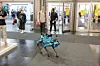 Auch der Roboterhund Spot ließ sich einen Spaziergang auf der Hannover Messe nicht entgehen.