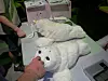 Roboterhaustier Robbe Paro,