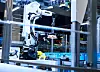 Die KI-gestützten Roboter übernehmen die vollautomatische Einzelstückkommissionierung von Fleisch- und Wurstprodukten.